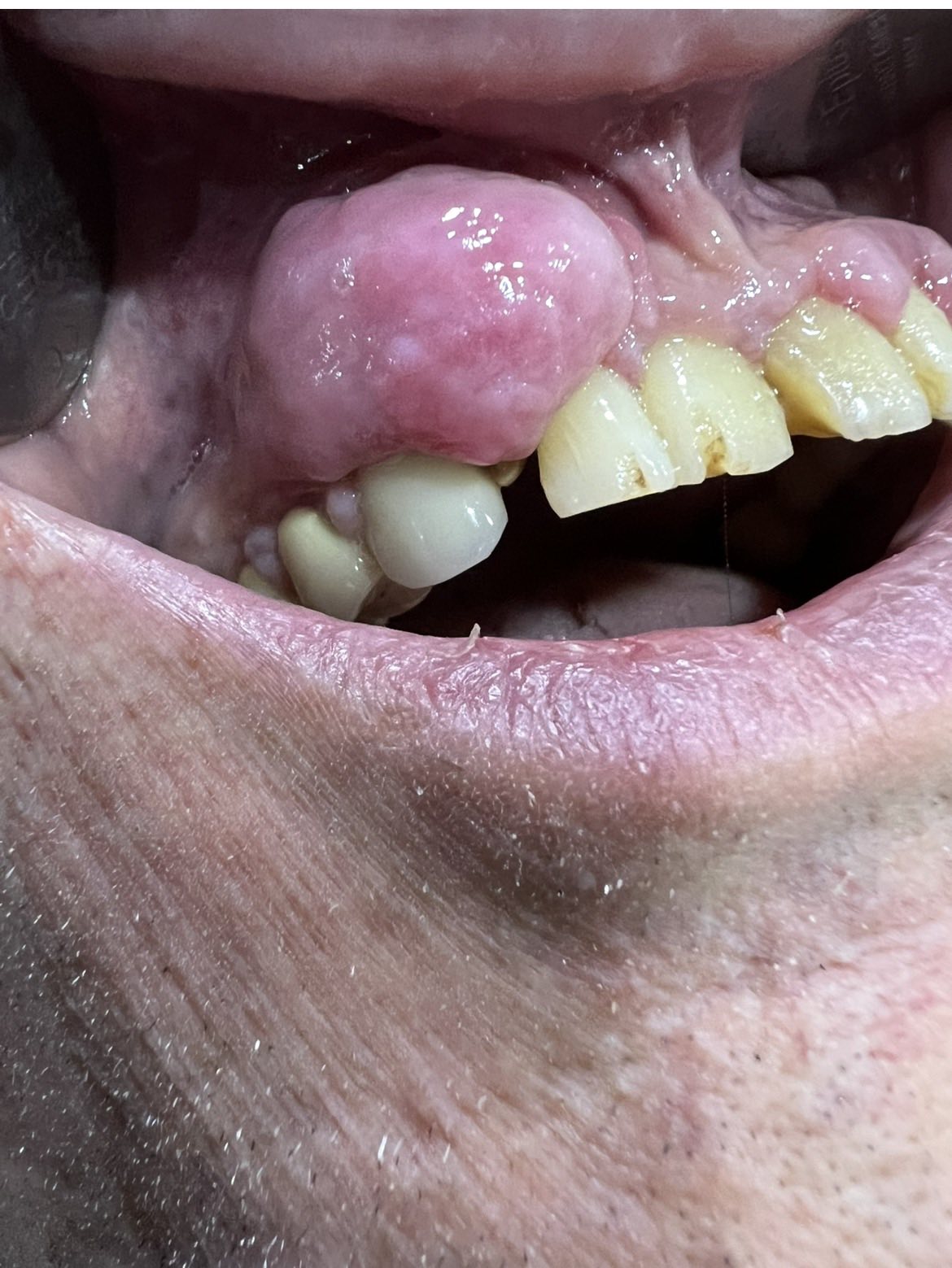 εικόνα Viber 2026 03 29 18 30 44 385 2