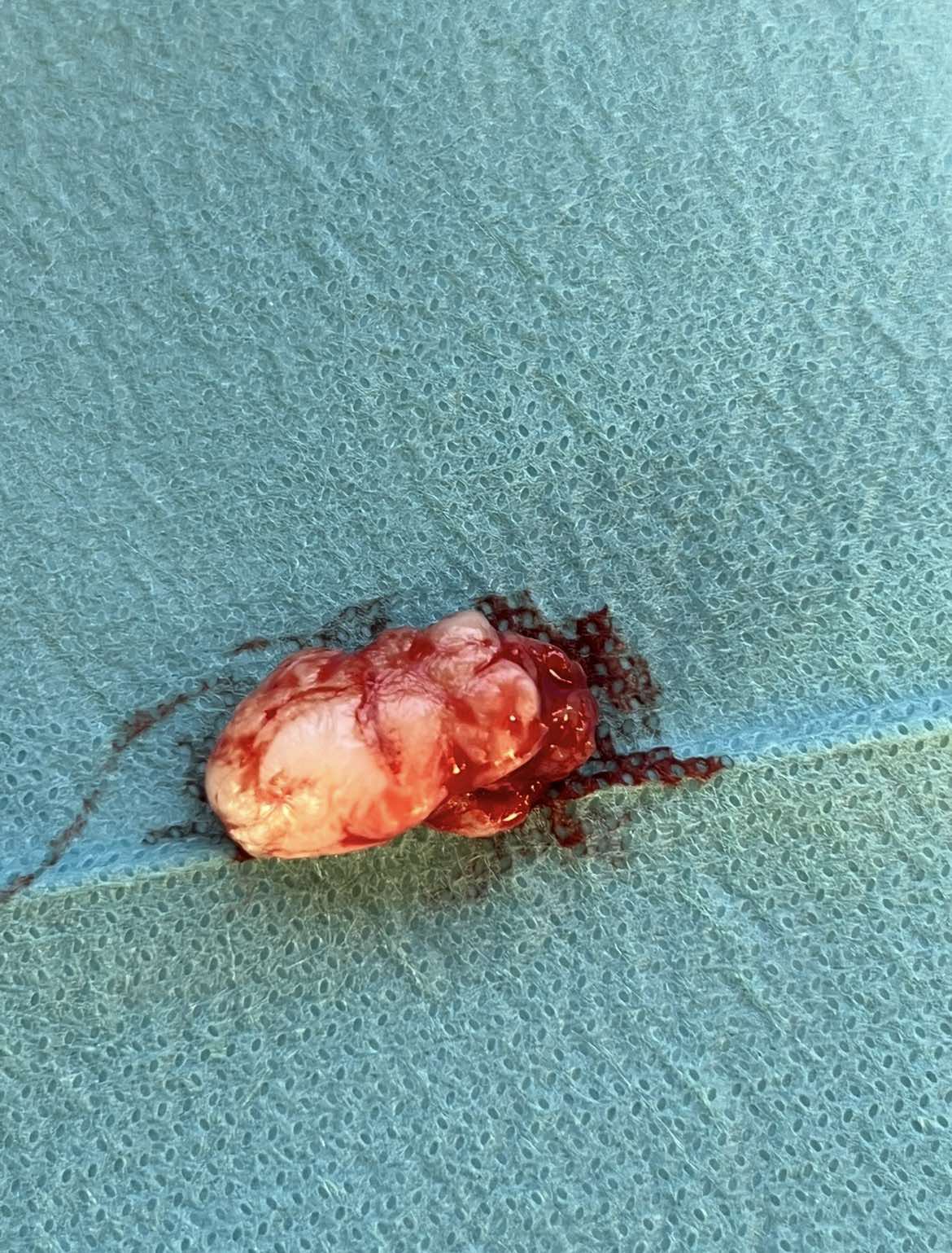 εικόνα Viber 2026 03 29 18 33 39 261